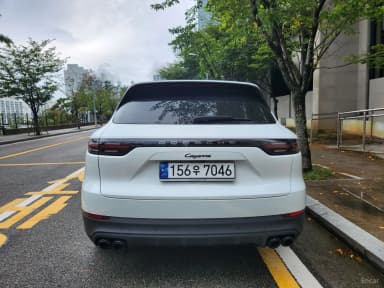 Cayenne (PO536)