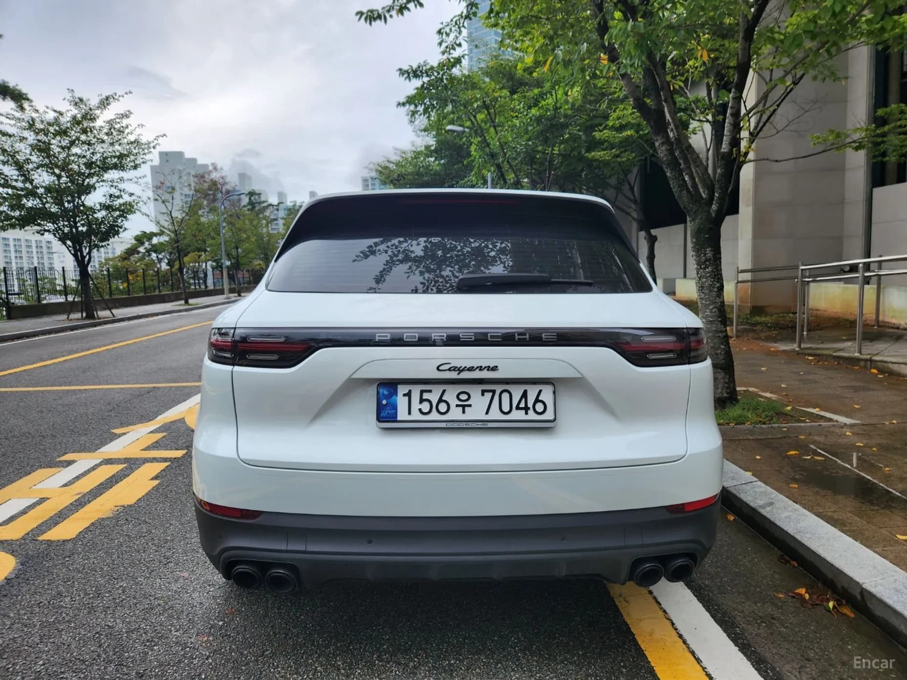 Cayenne (PO536)