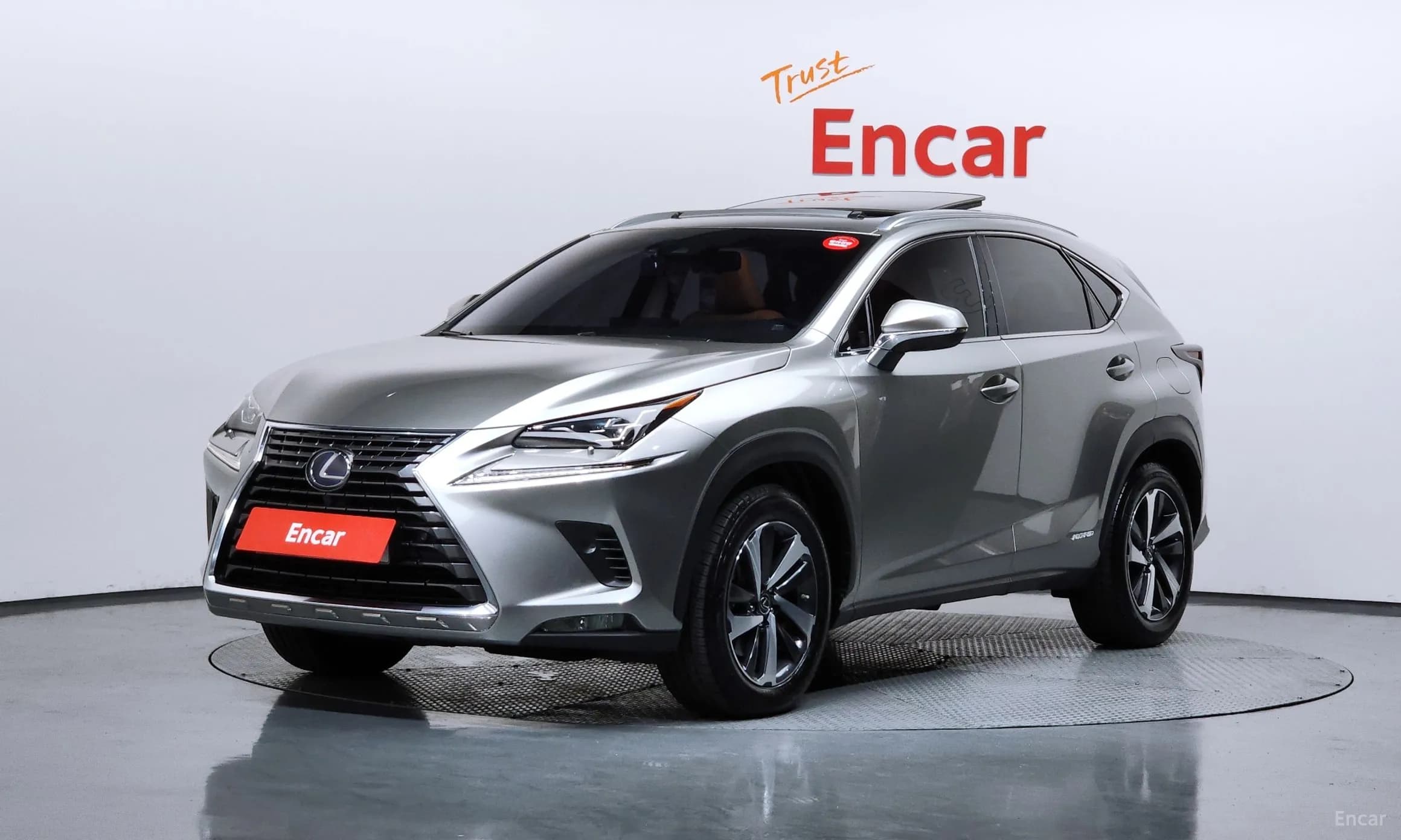 NX300h