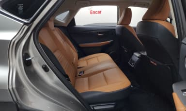 NX300h
