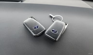 NX300h