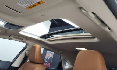NX300h