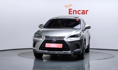NX300h