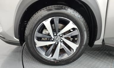 NX300h