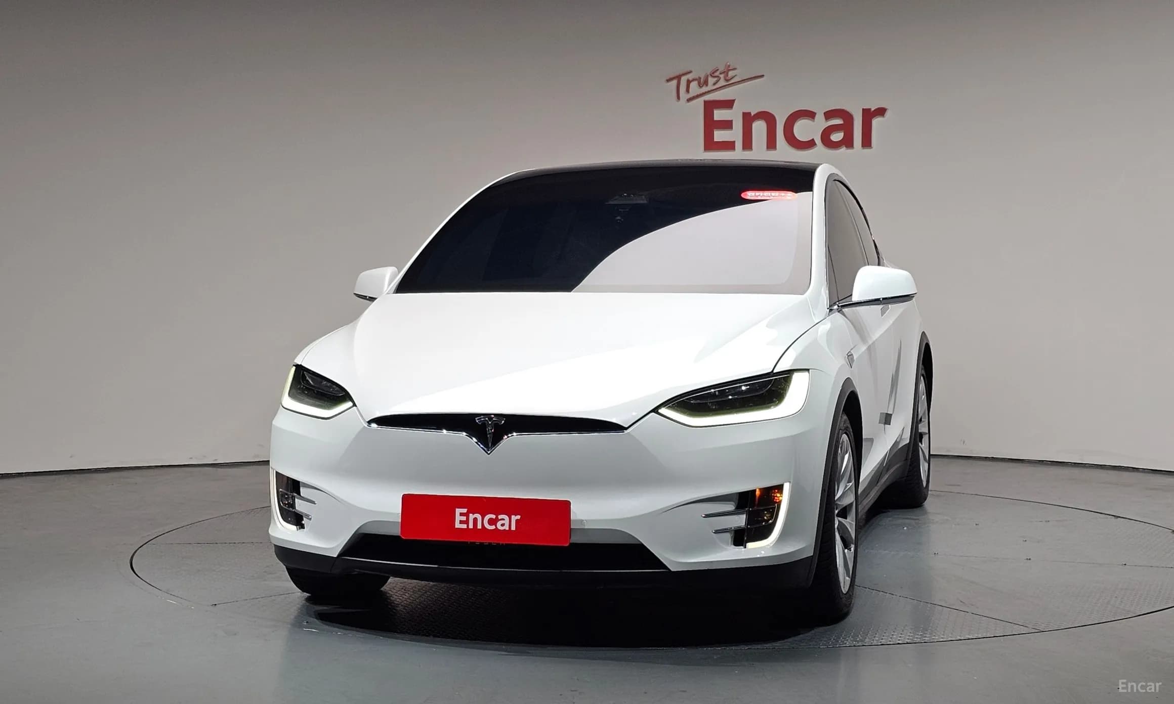Model X
