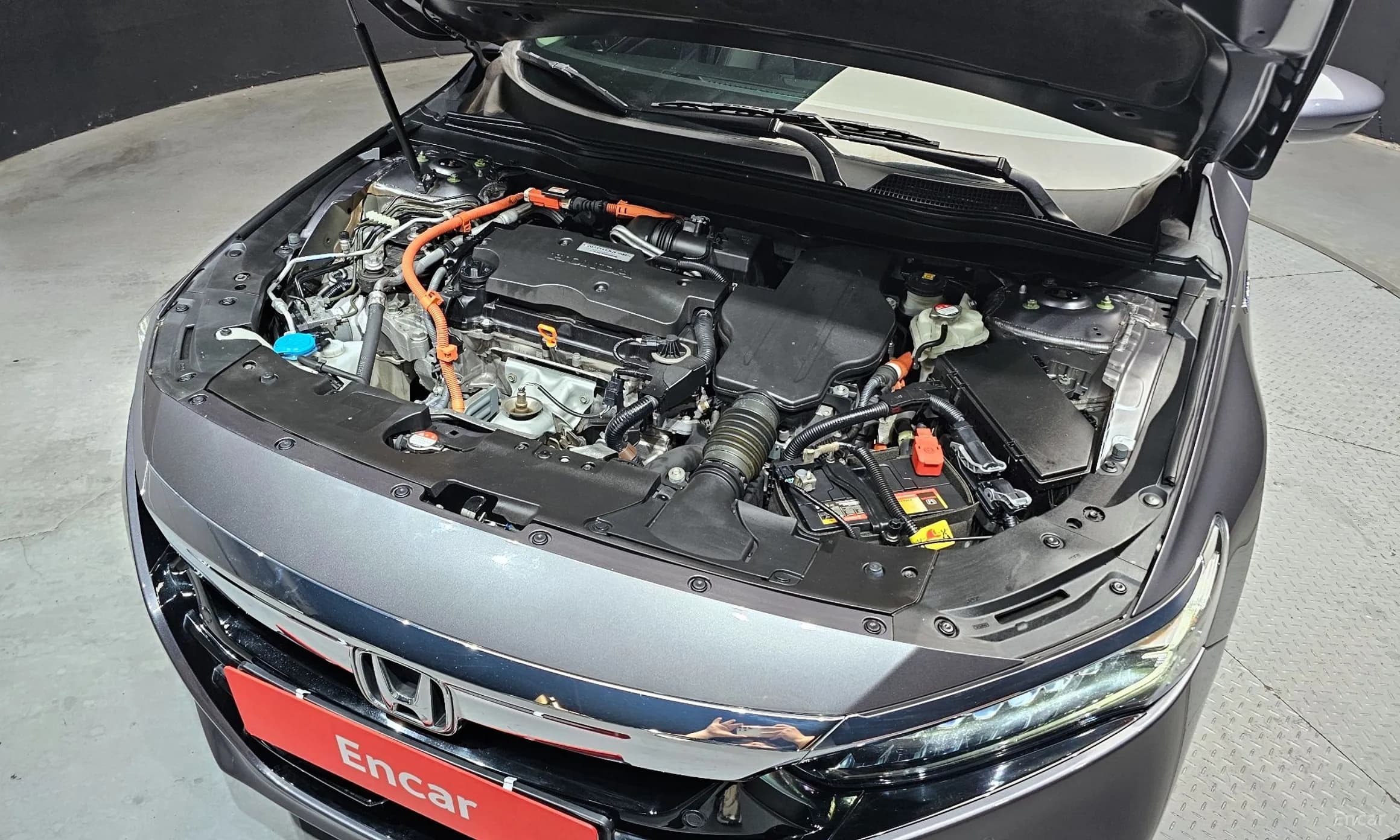 Accord 10th Generation