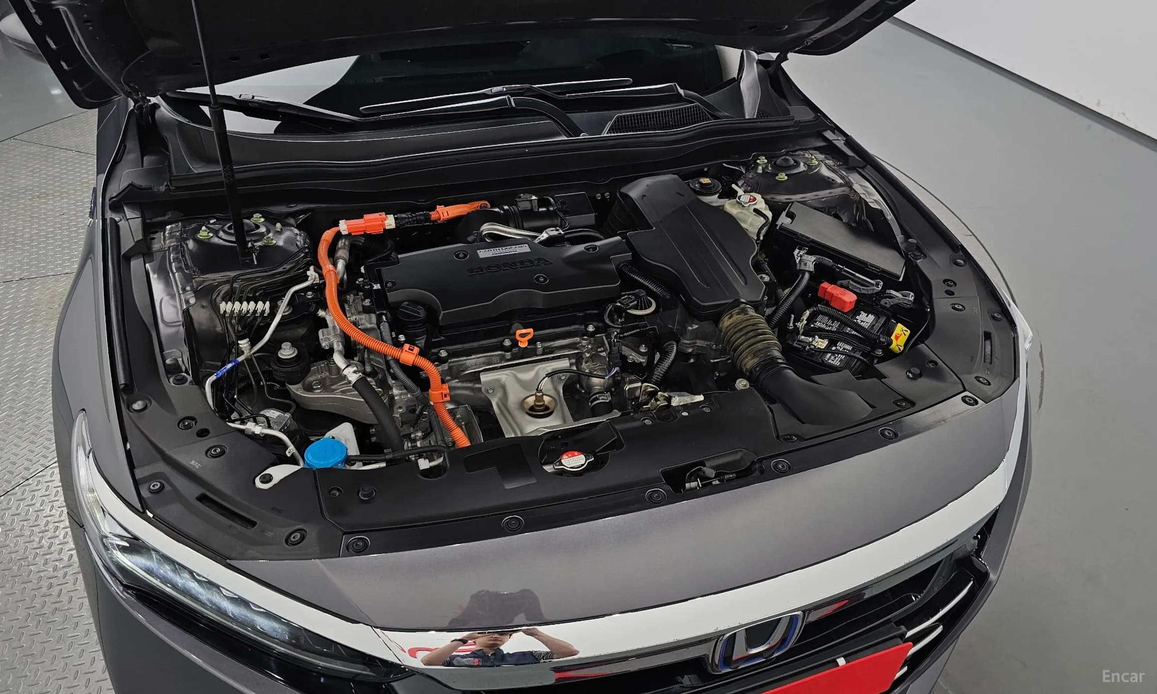 Accord 10th Generation