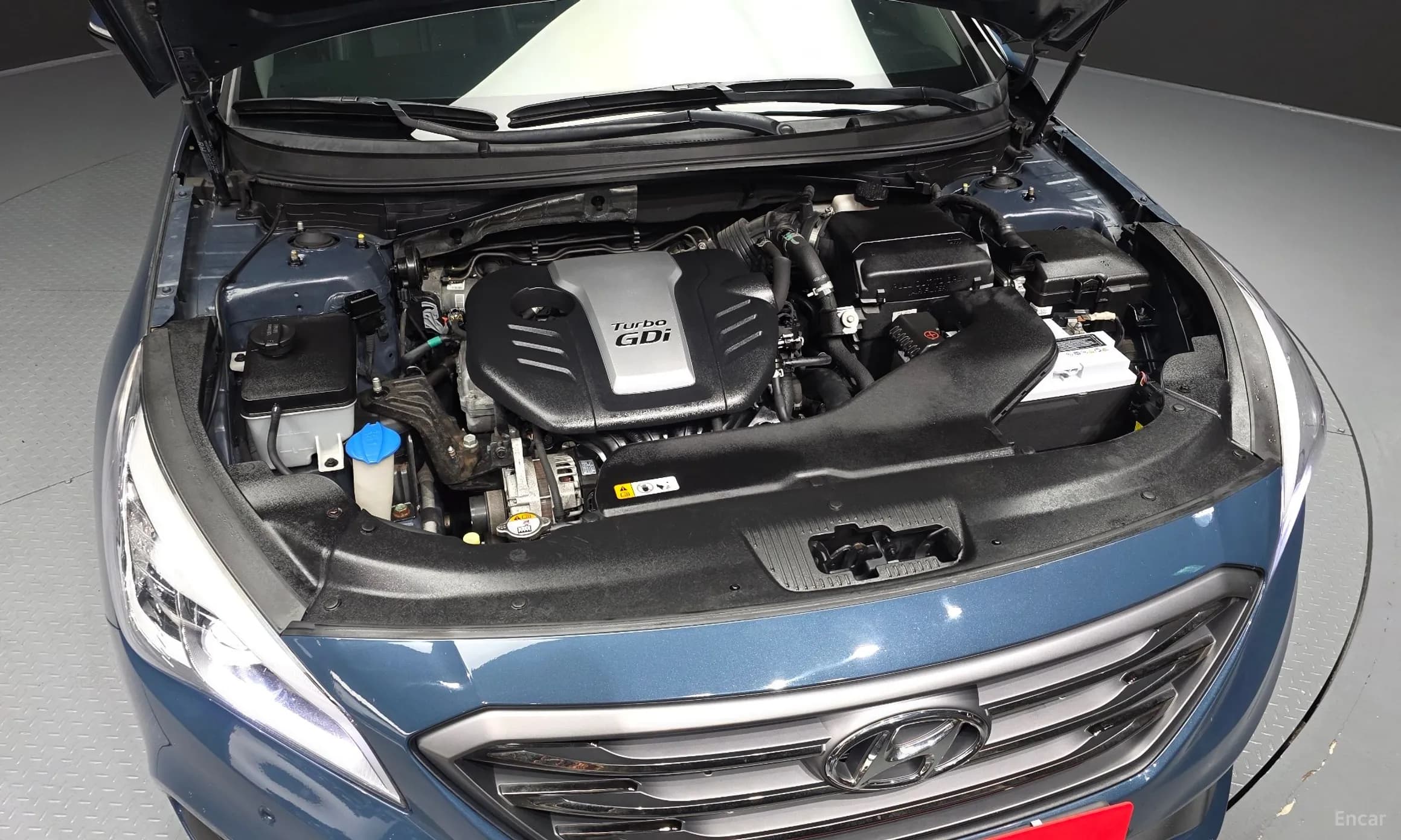 LF Sonata