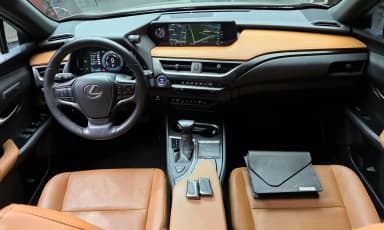 UX250h