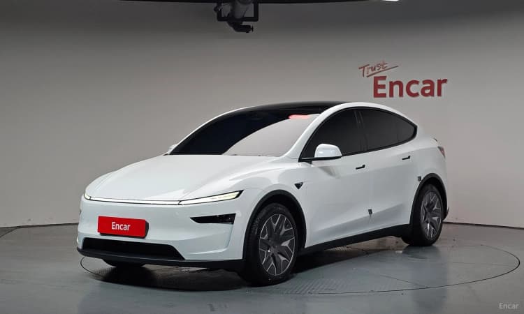 Model Y