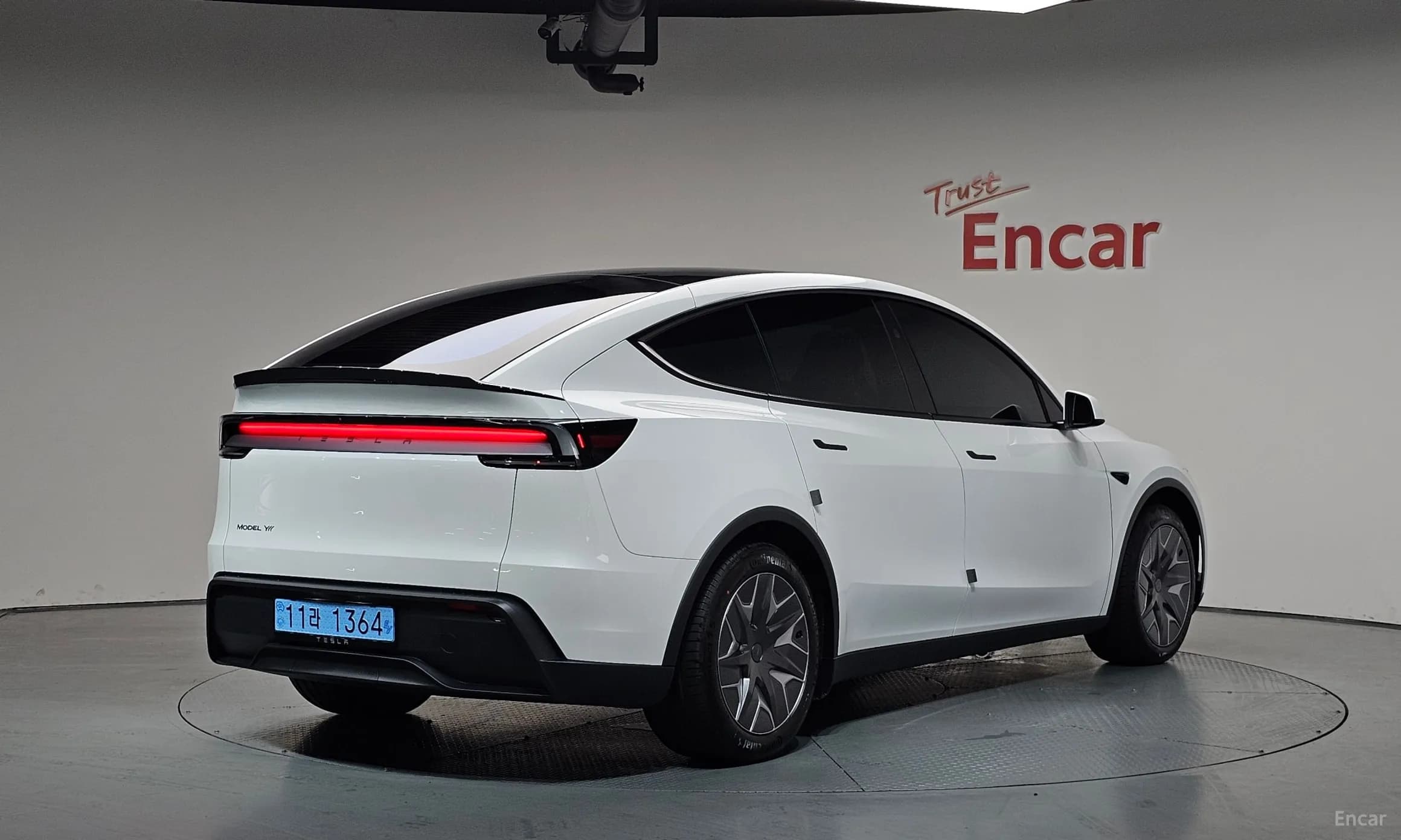 Model Y