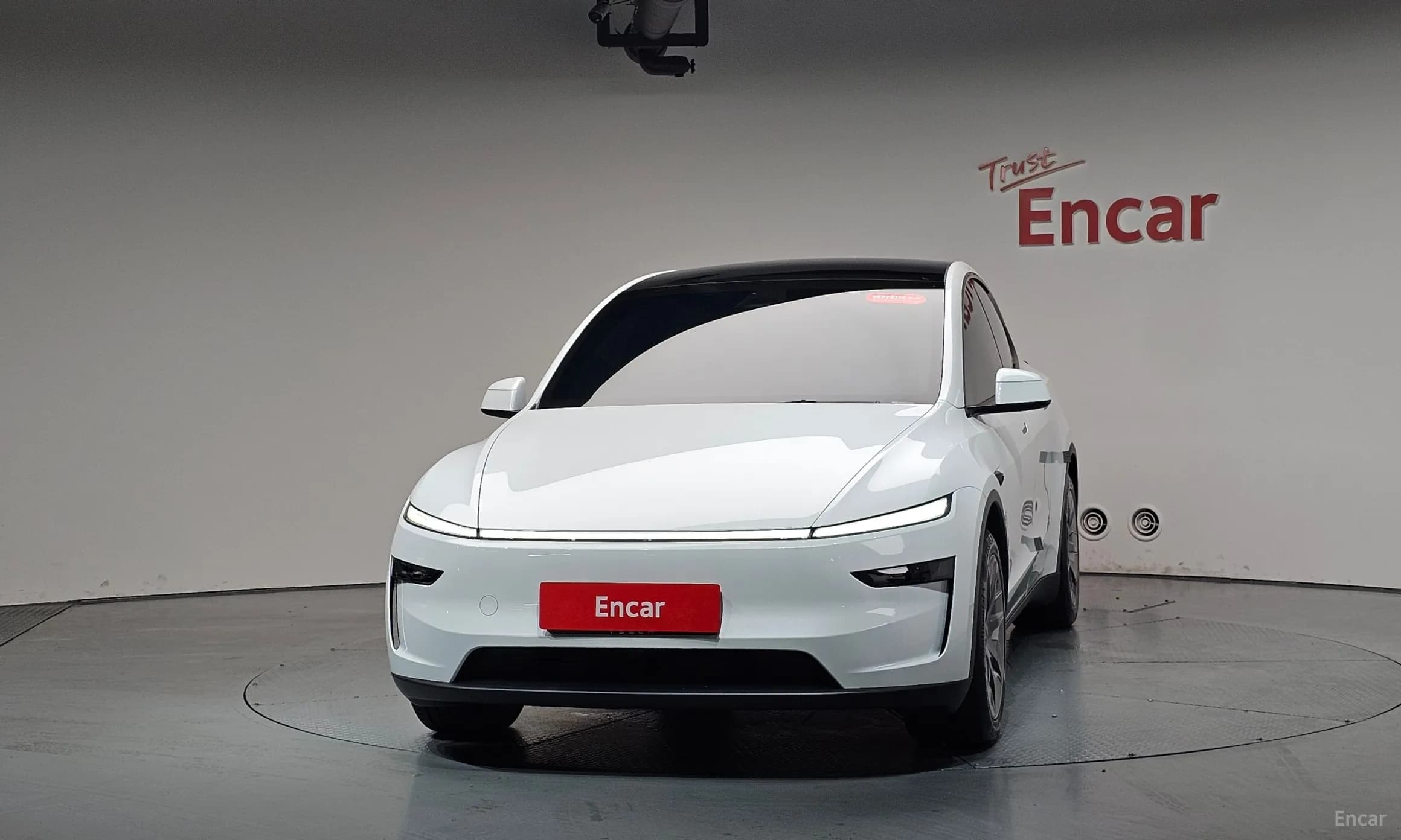 Model Y