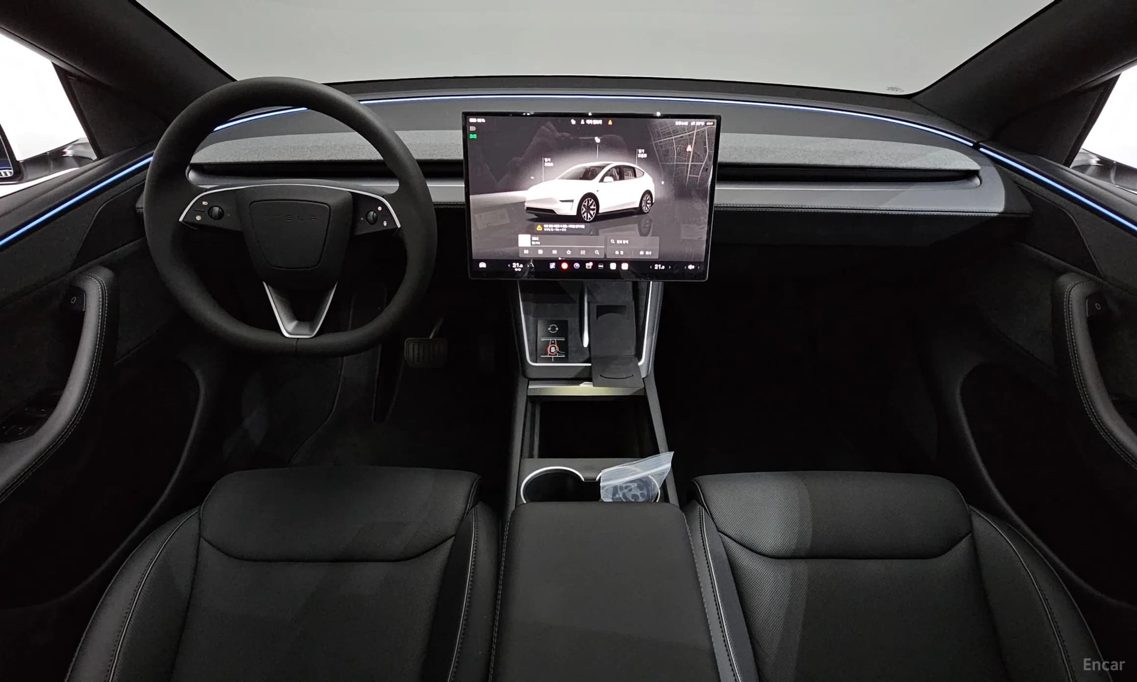 Model Y