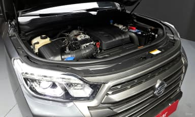 Rexton Sports