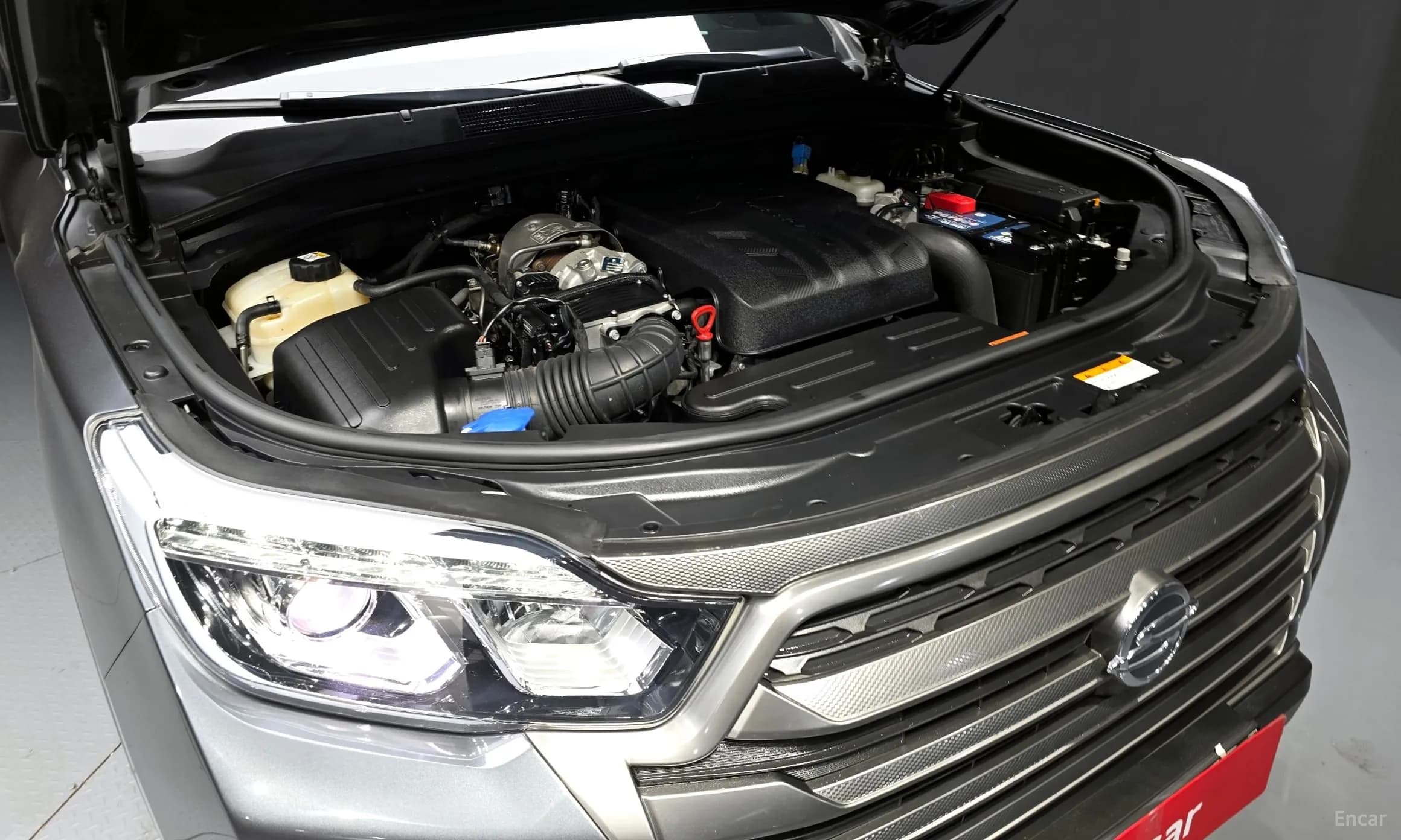 Rexton Sports