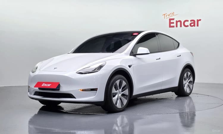 Model Y