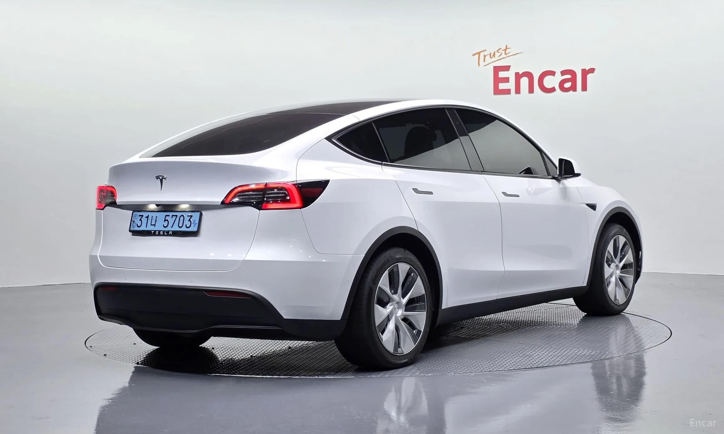 Model Y