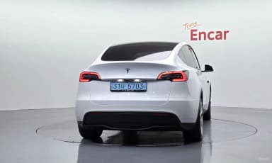Model Y