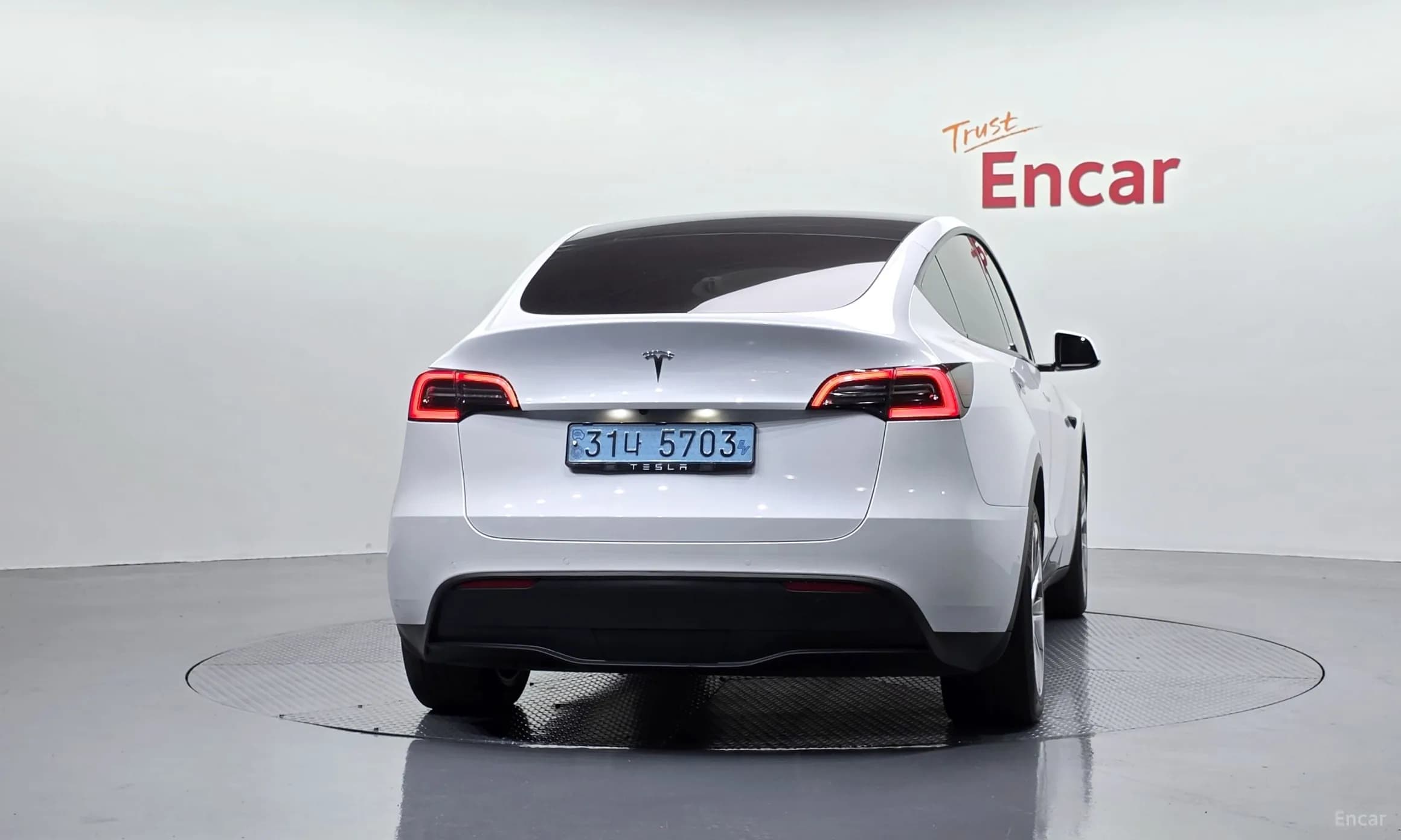 Model Y