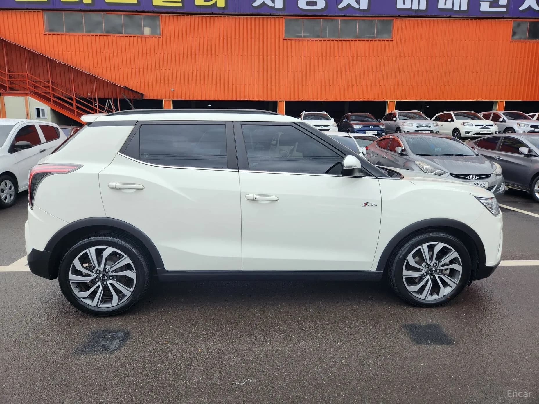 Berry New Tivoli