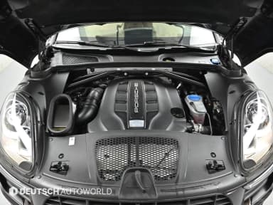 Macan