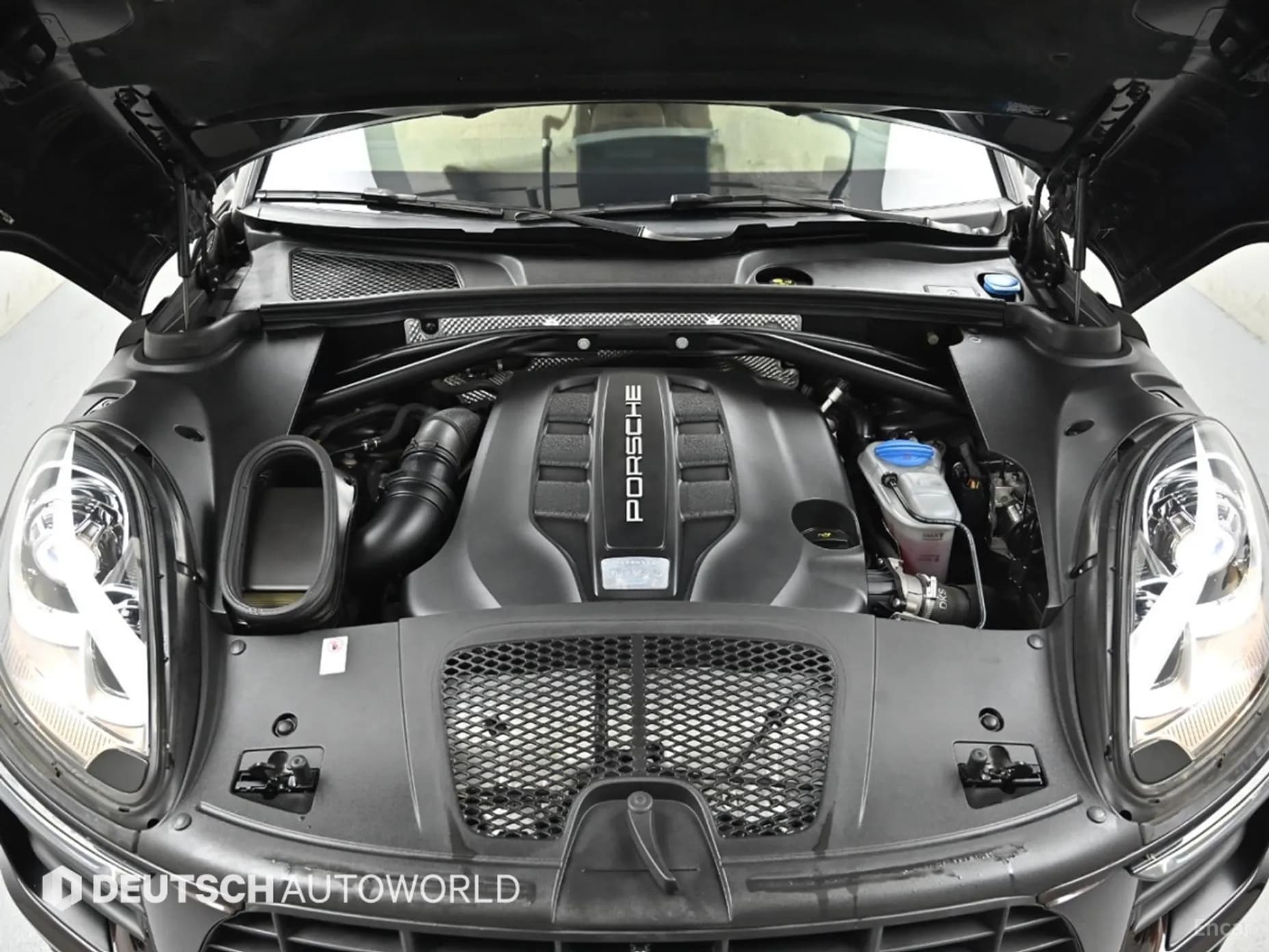 Macan