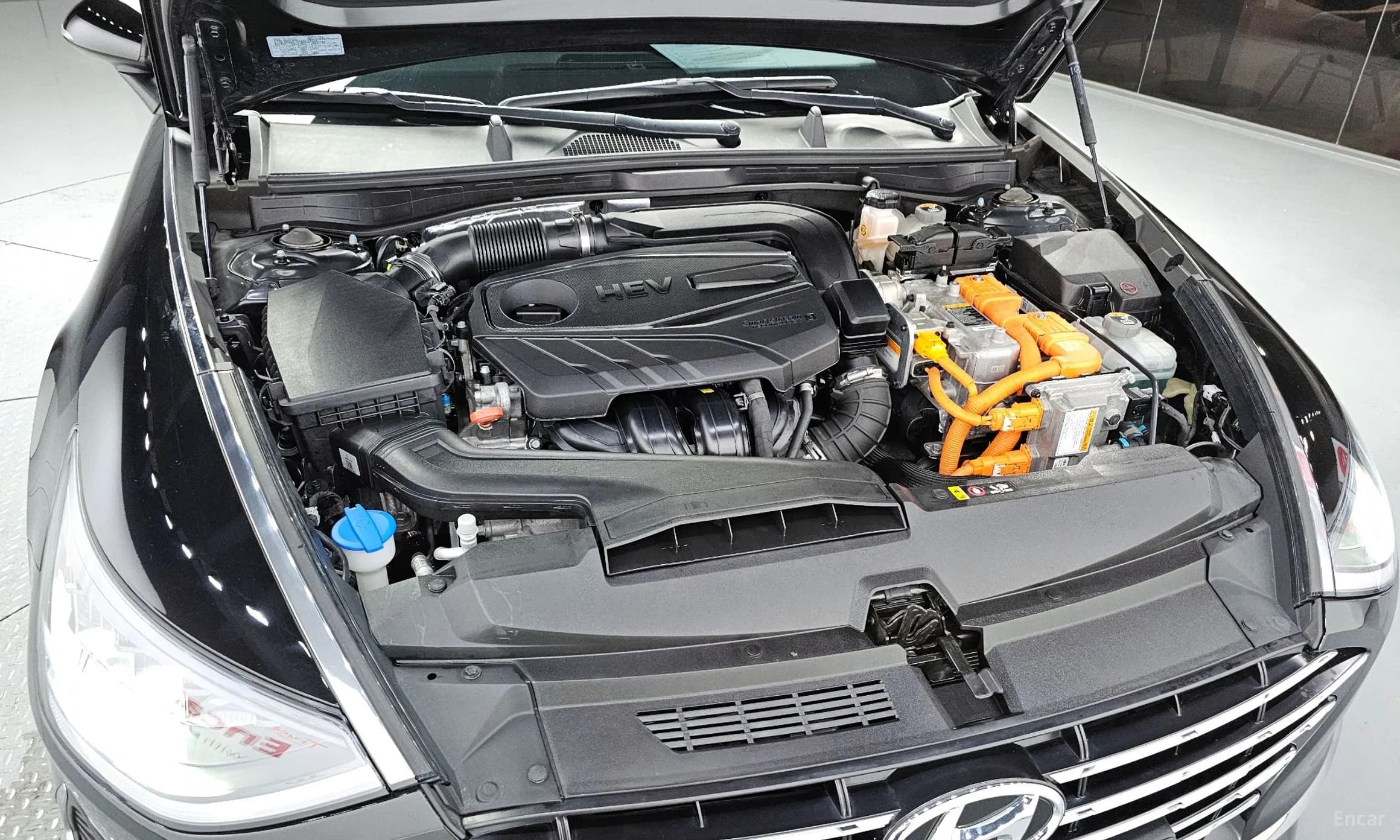 Sonata Hybrid (DN8)