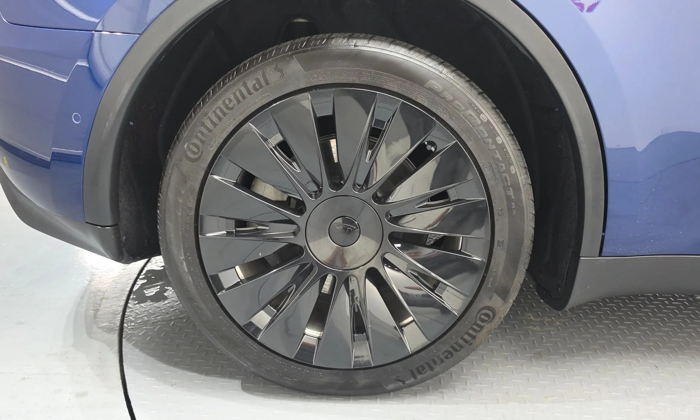 Model Y