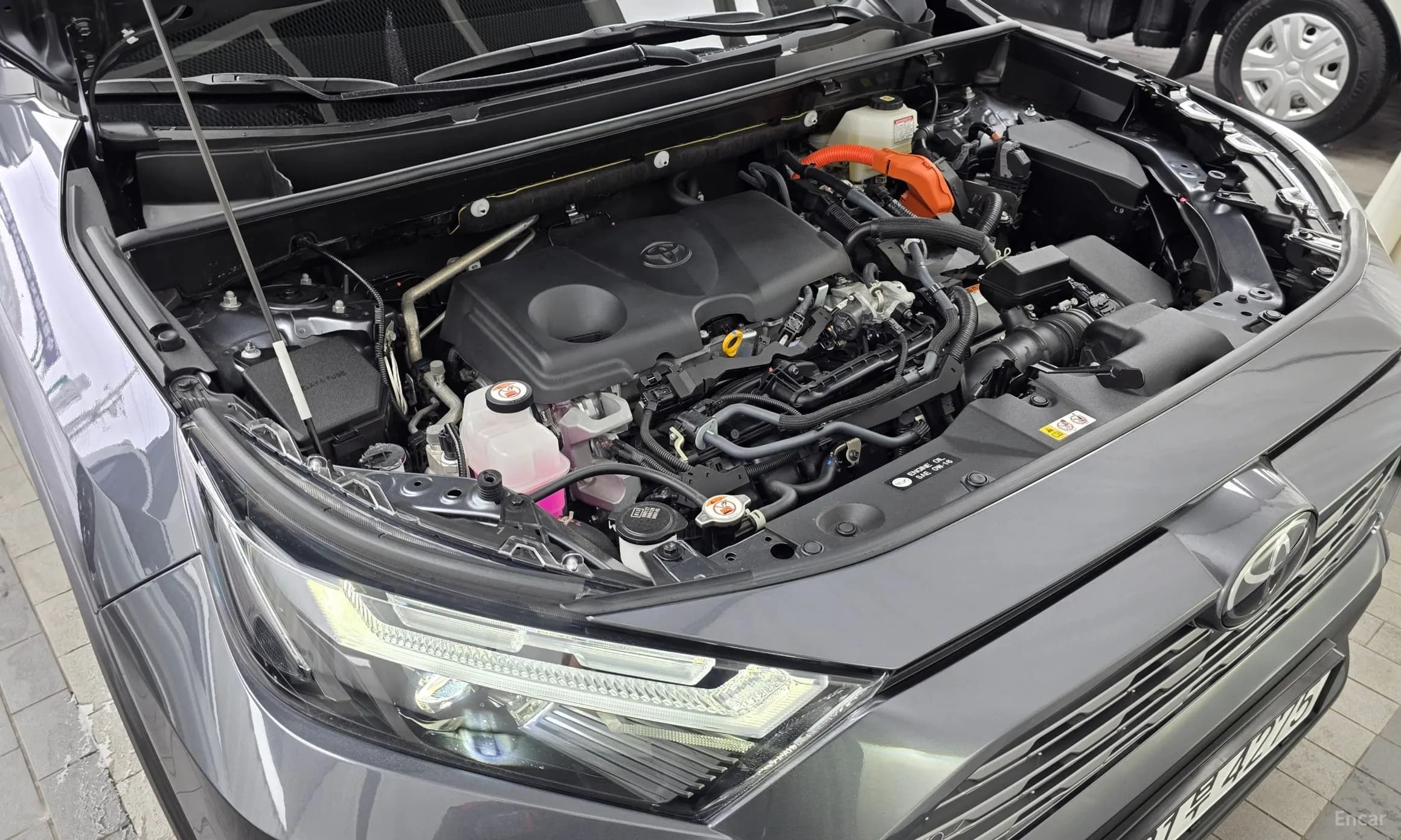 RAV4 5th Generation