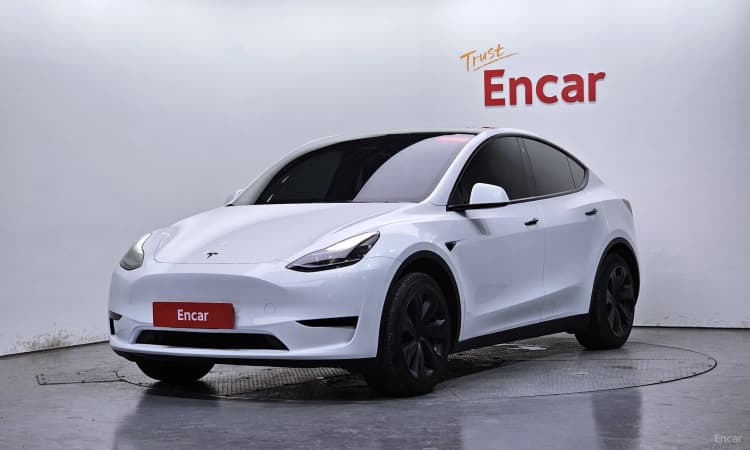 Model Y