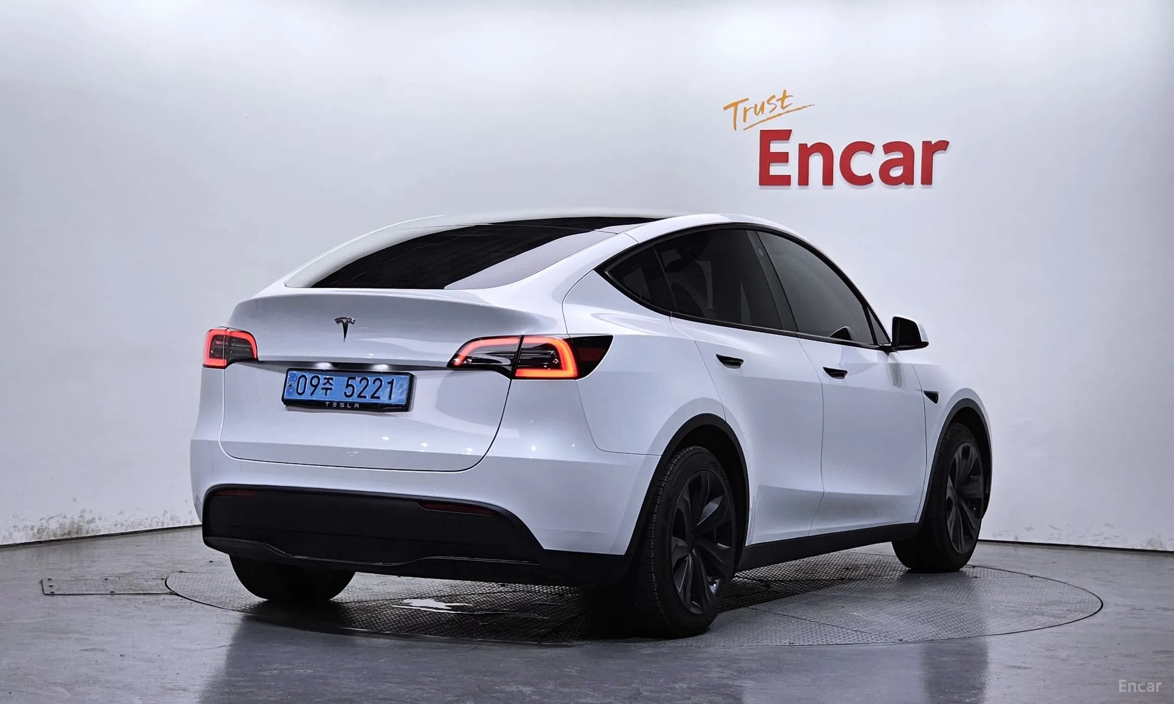 Model Y