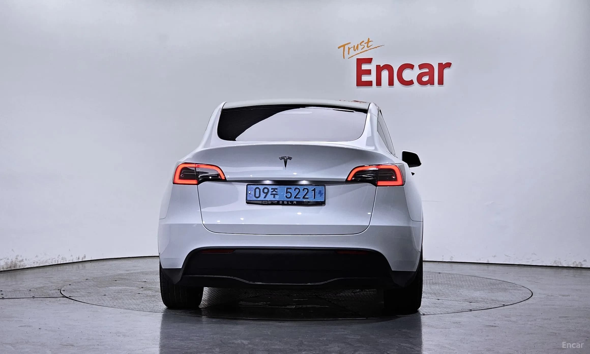 Model Y