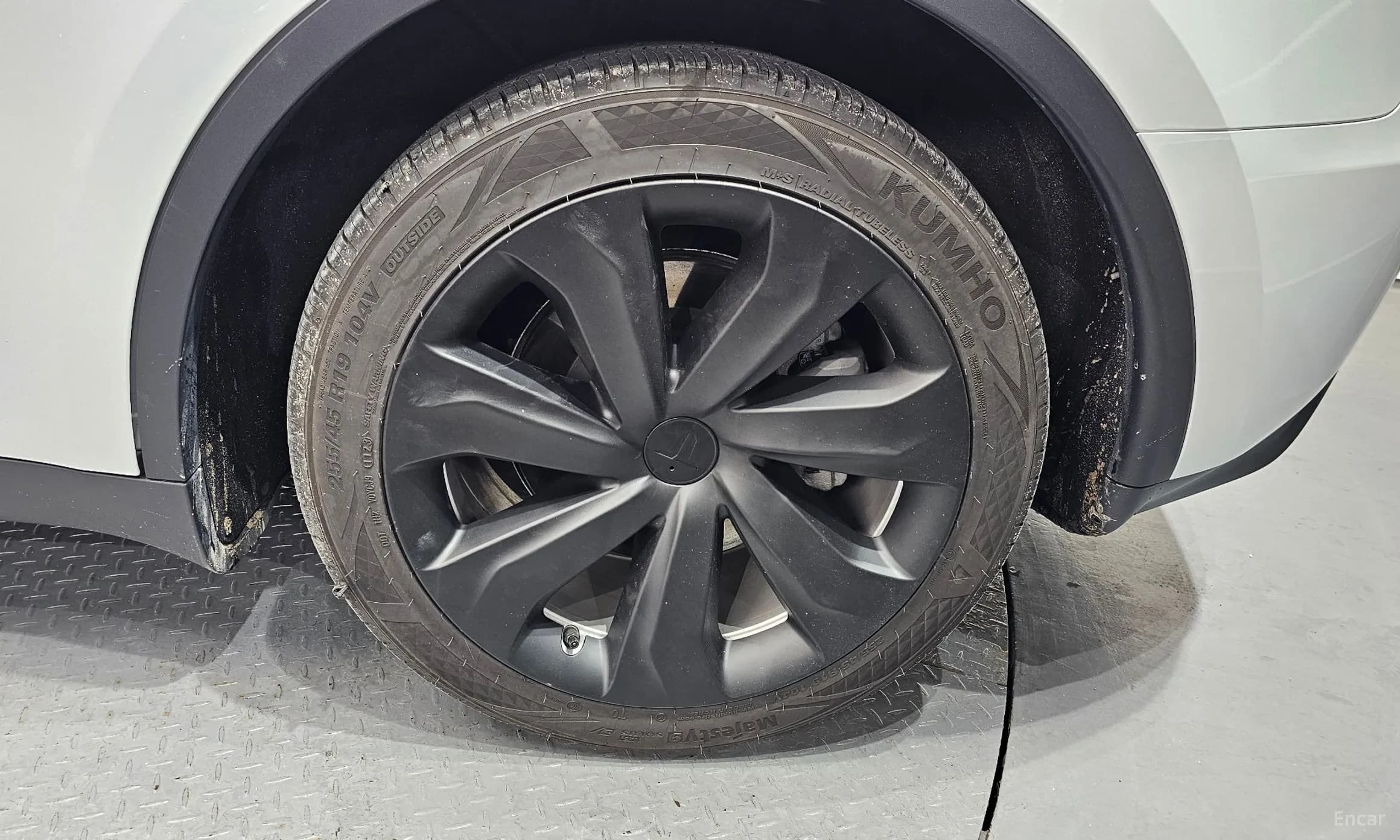 Model Y