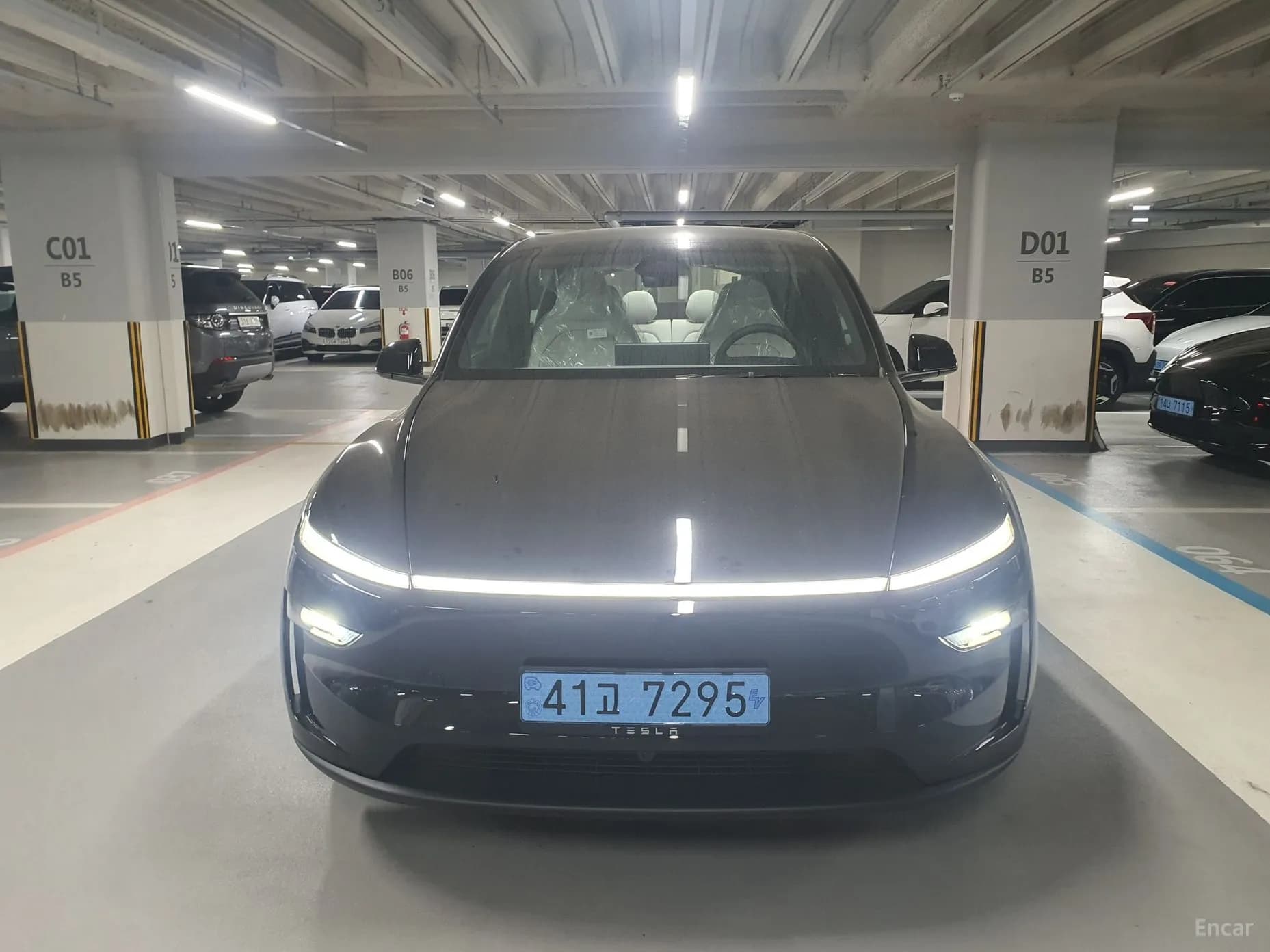 Model Y