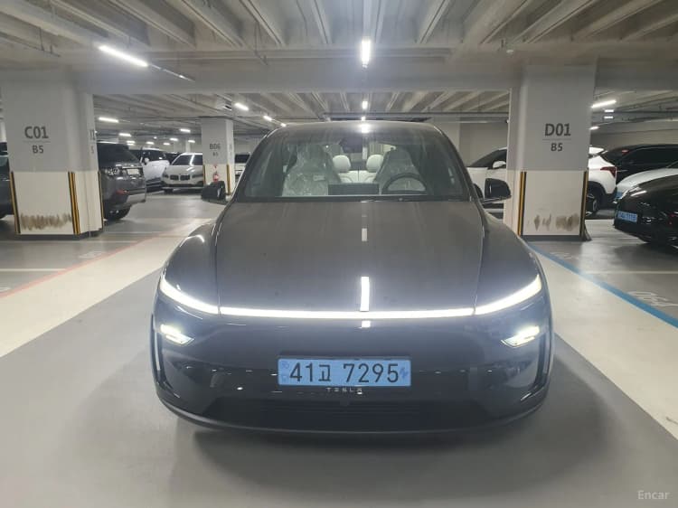 Model Y