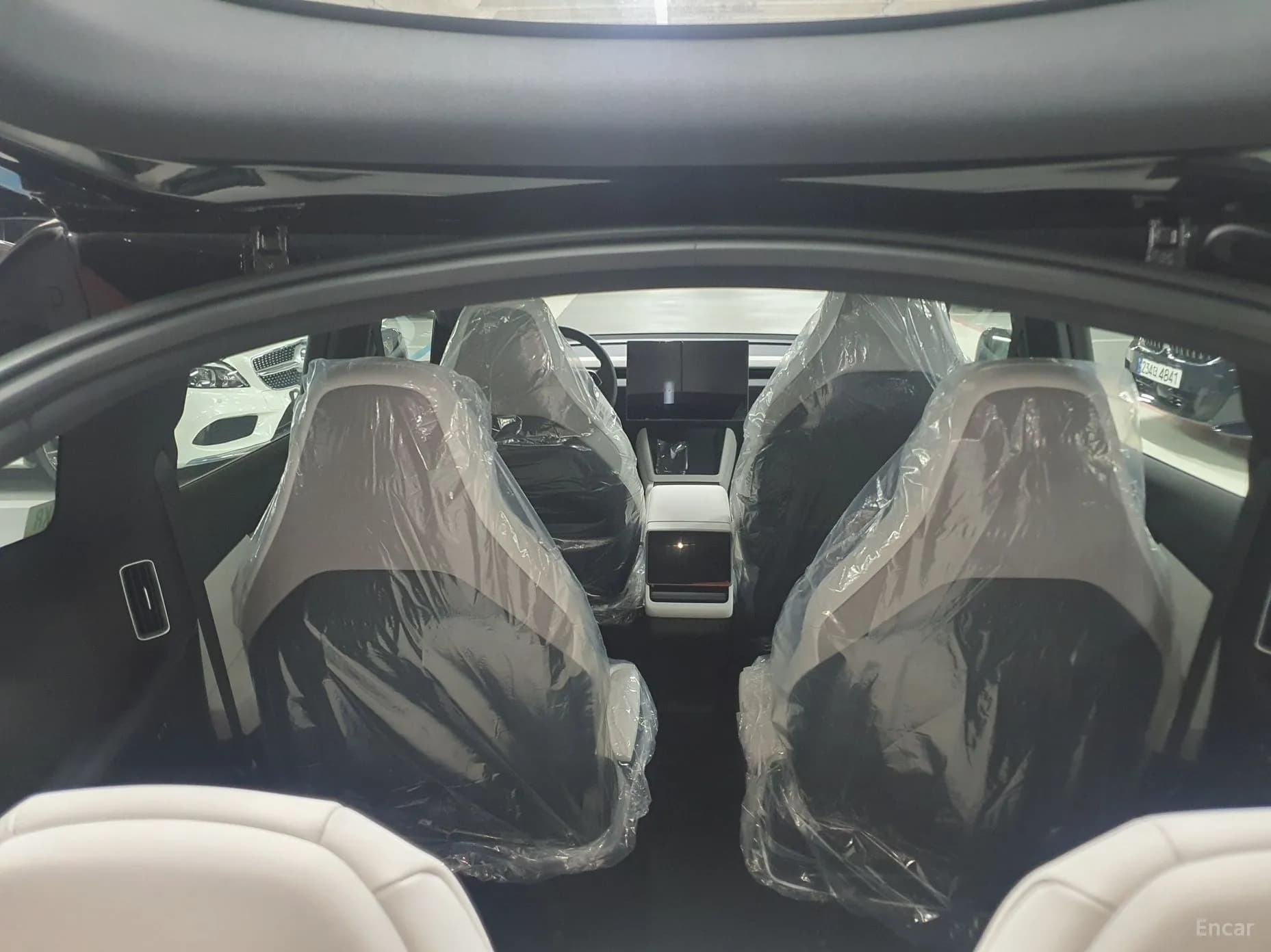 Model Y