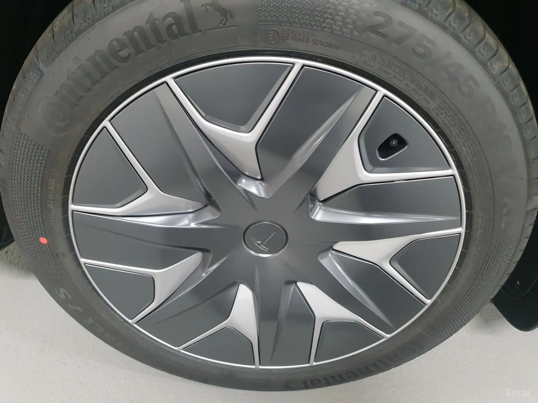 Model Y