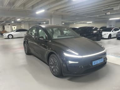 Model Y