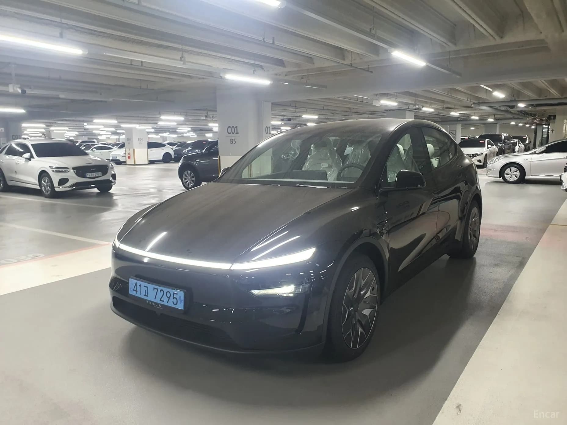 Model Y