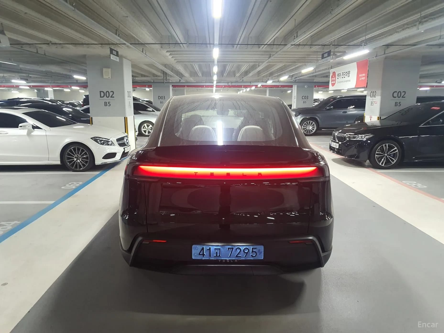 Model Y