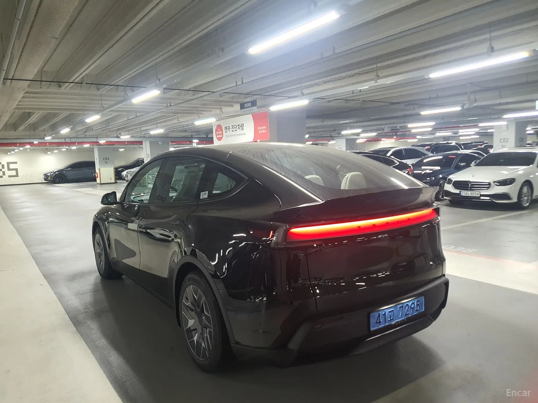 Model Y