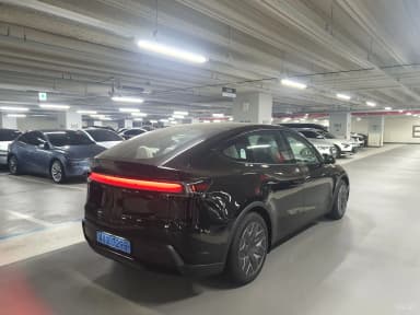 Model Y