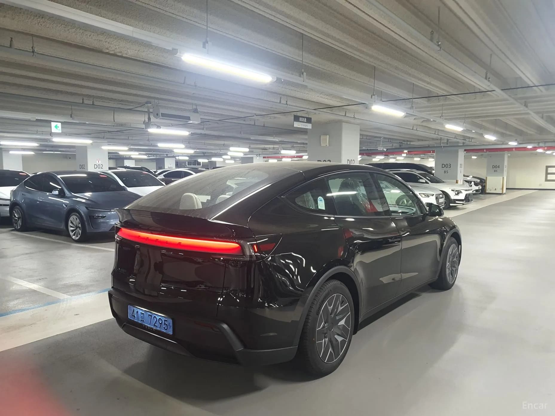 Model Y