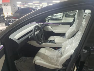 Model Y