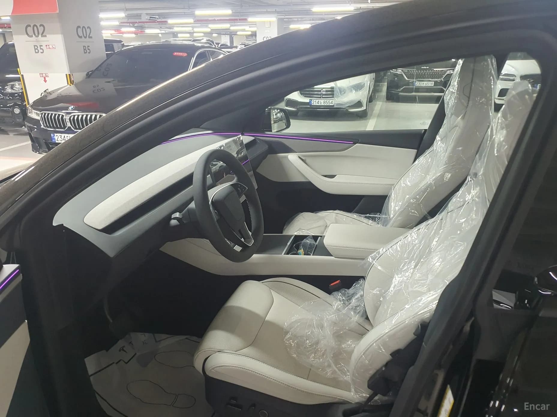 Model Y