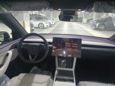 Model Y