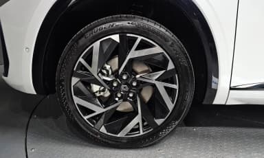 Grang Koleos