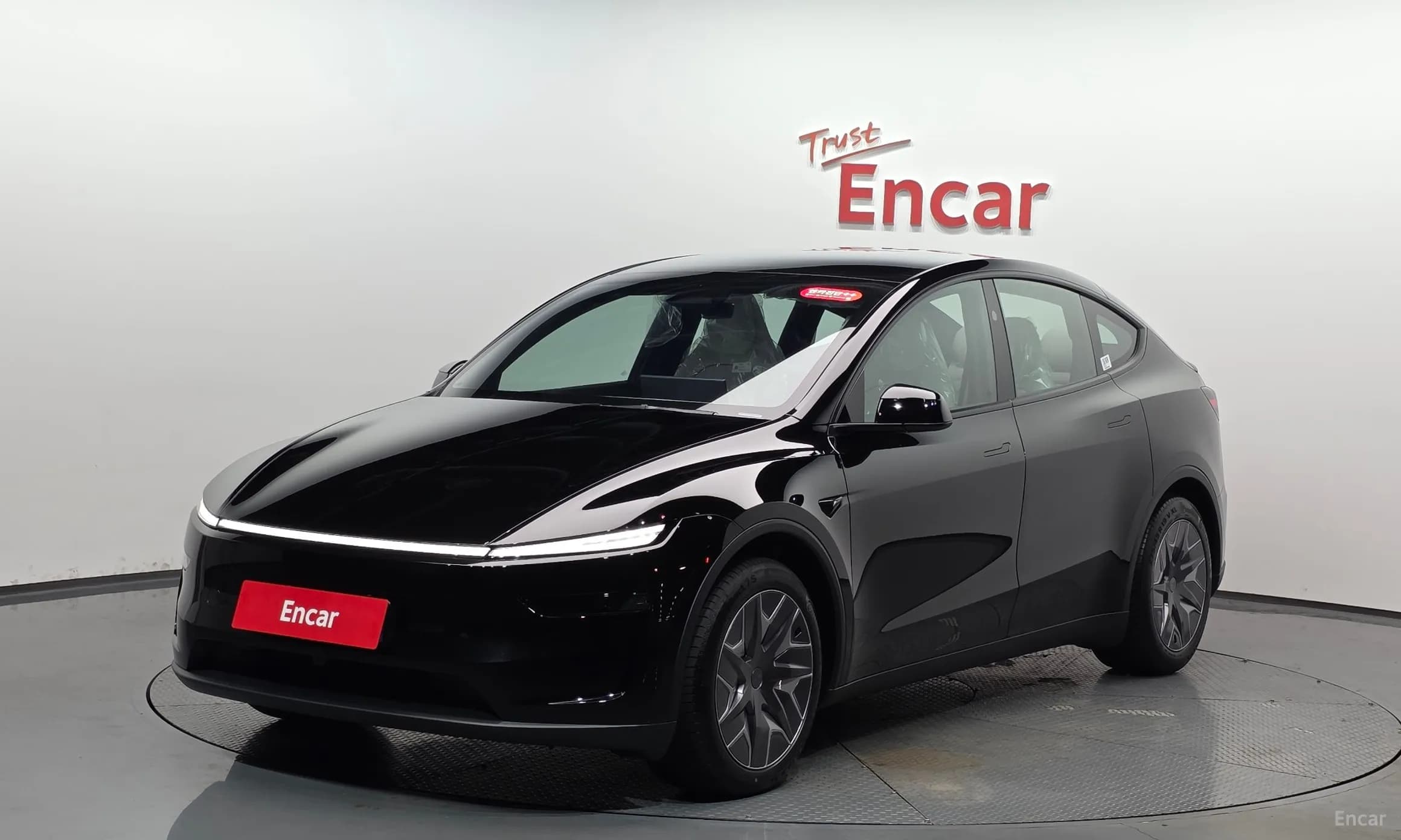 Model Y