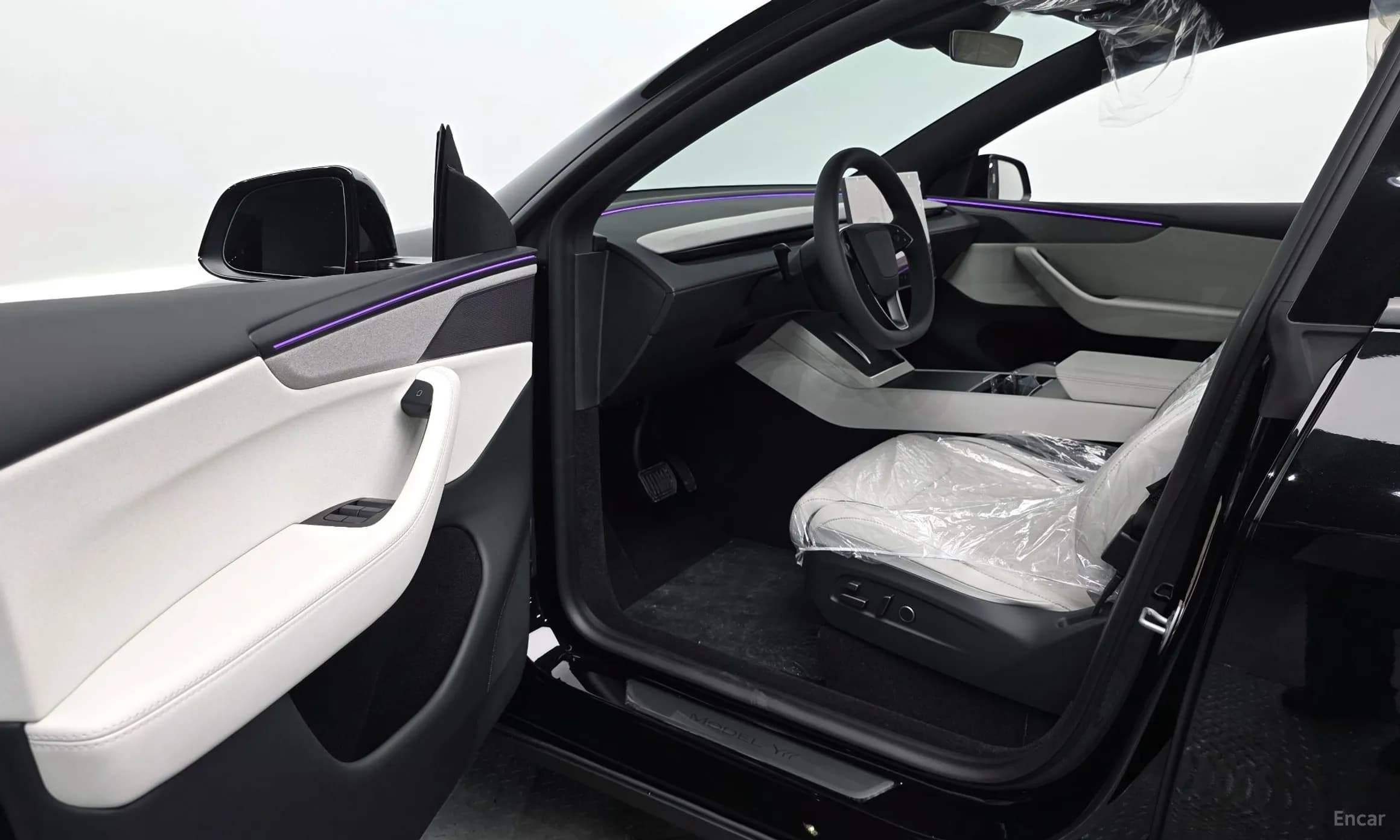 Model Y