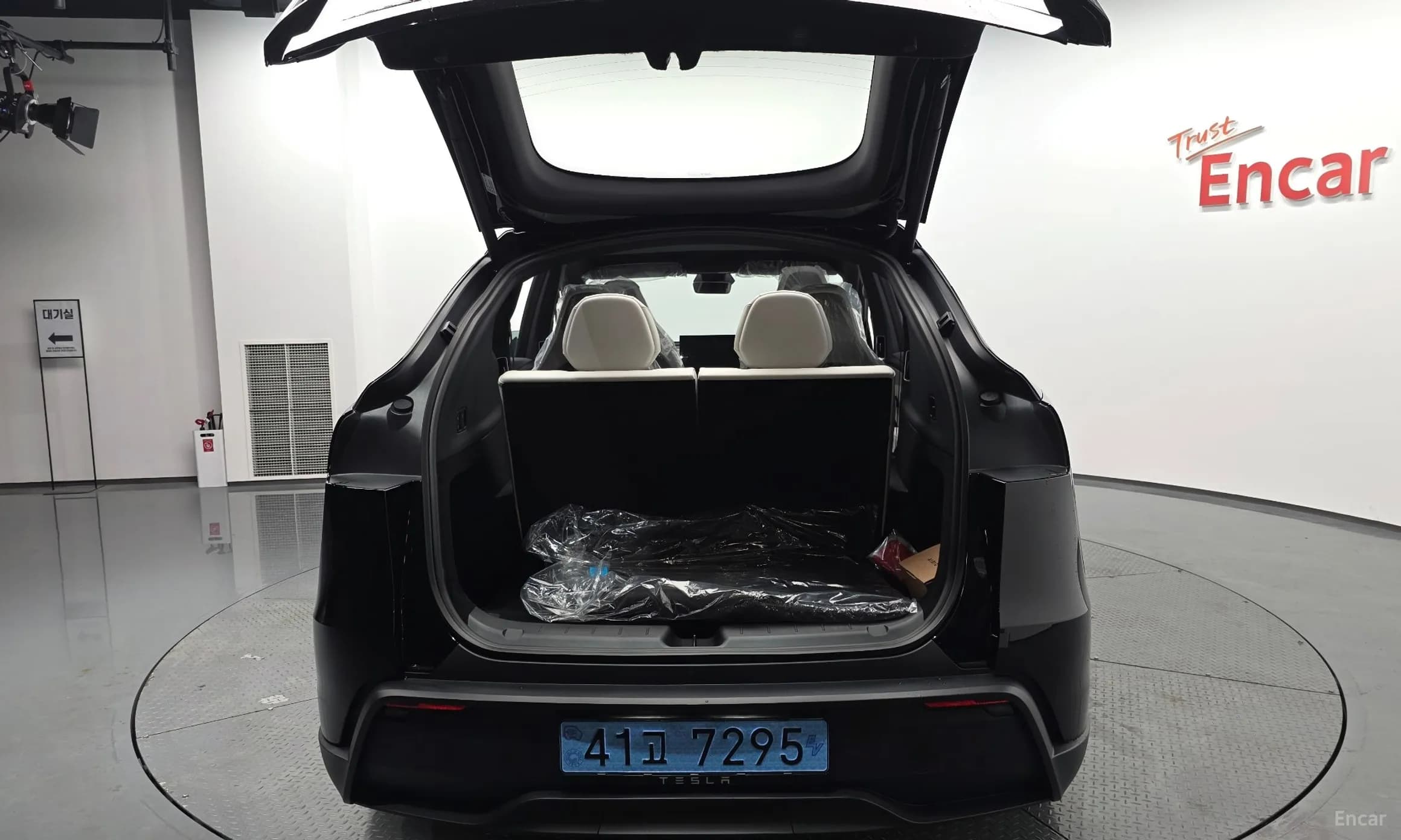 Model Y